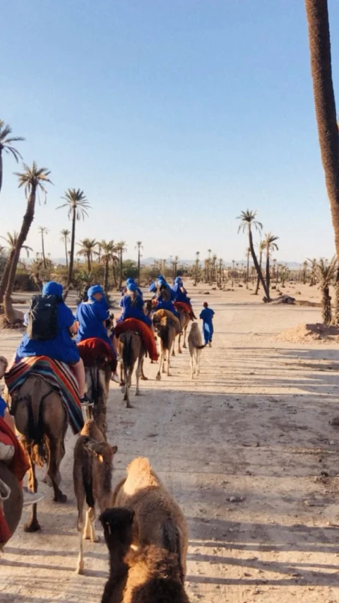 Authentic Sahara desert tours landscape
